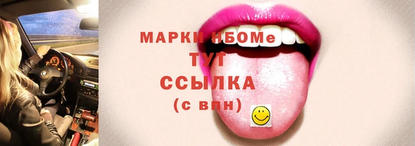 прущие грибы Вязьма
