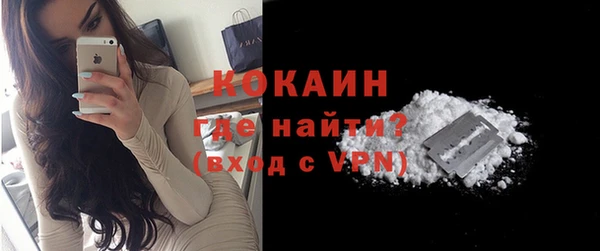 прущие грибы Вязьма