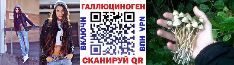 Псилоцибиновые грибы Psilocybe магазин наркотиков Данков