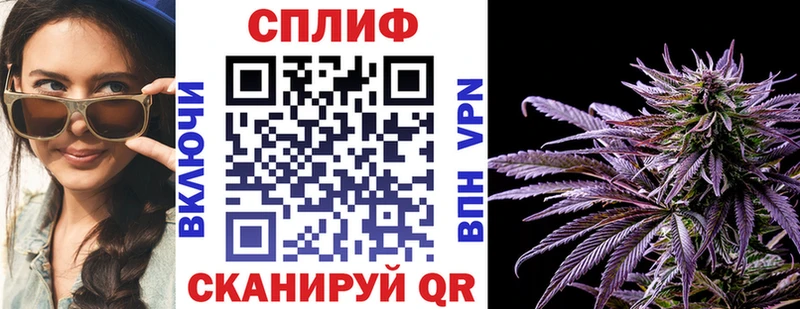 Шишки марихуана семена  наркота  даркнет состав  Данков 